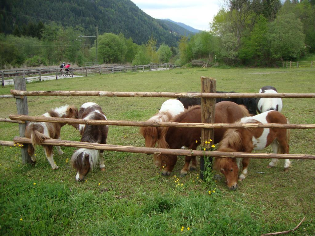Winnewieser Vandoies Bagian luar foto