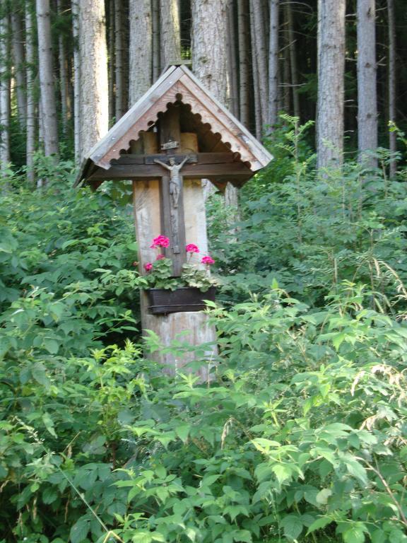 Winnewieser Vandoies Bagian luar foto
