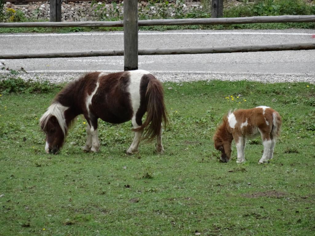 Winnewieser Vandoies Bagian luar foto