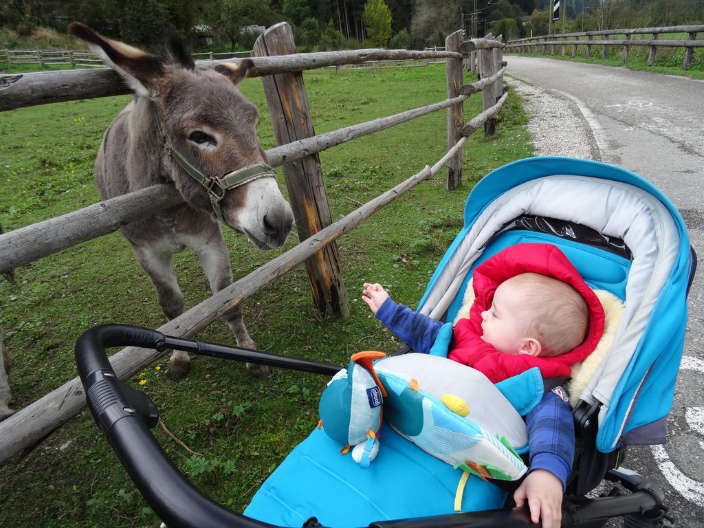 Winnewieser Vandoies Bagian luar foto